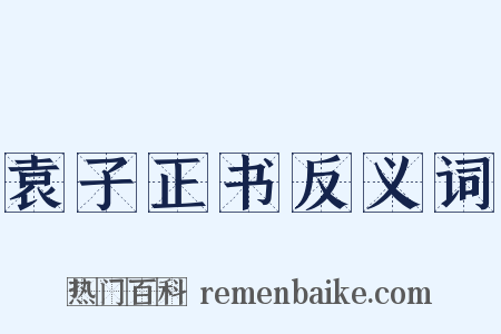 袁子正书反义词是什么意思的图片